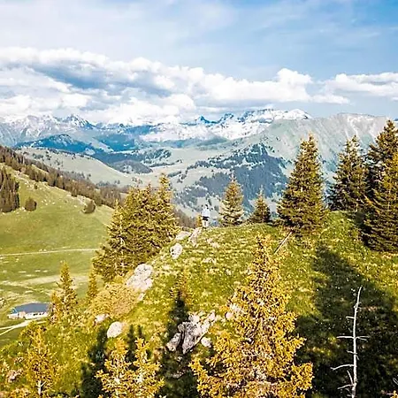 Gstaad Youth Otel